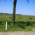 IMG_1349162