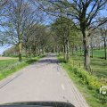 IMG_1349168
