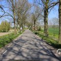 IMG_1349171