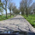 IMG_1349177
