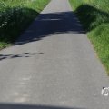IMG_1349188