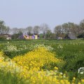 IMG_1349197