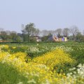 IMG_1349198