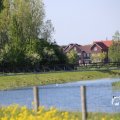 IMG_1349199
