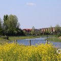 IMG_1349201