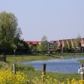 IMG_1349202