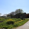 IMG_1349208