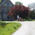 IMG_1349212