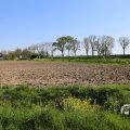 IMG_1349214