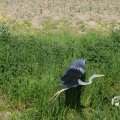 IMG_1349218