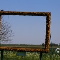IMG_1349220