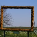 IMG_1349221