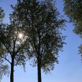 IMG_1349222