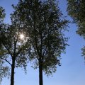 IMG_1349223