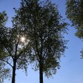 IMG_1349224