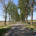 IMG_1349226