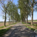 IMG_1349227