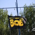 IMG_1349237