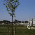 IMG_1349256