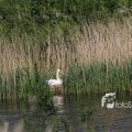 IMG_1349259