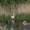 IMG_1349260