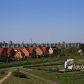 IMG_1349278