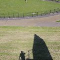 IMG_1349284