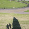 IMG_1349286