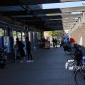 IMG_1349336