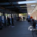 IMG_1349337