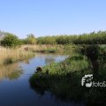 IMG_1349375