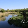 IMG_1349376