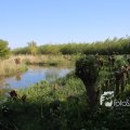 IMG_1349377