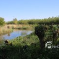 IMG_1349378