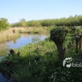 IMG_1349381