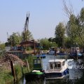 IMG_1349382
