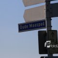 IMG_1349387