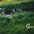 IMG_1349392