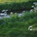 IMG_1349393