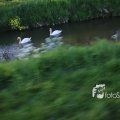 IMG_1349395
