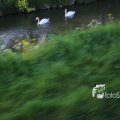 IMG_1349396