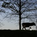IMG_1349398