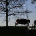 IMG_1349399