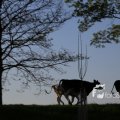 IMG_1349400