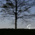 IMG_1349401