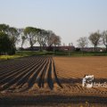 IMG_1349404