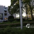 IMG_1349437