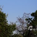 IMG_1349440