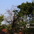 IMG_1349441