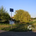 IMG_1349448